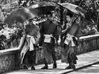 2015-04-27-6001 web 240 Laos Monks Luang Prabang